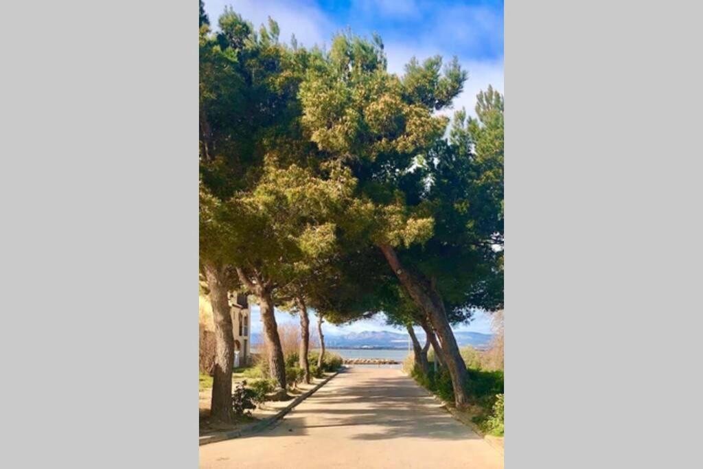 Barcaresa-Villa Sur Le Sable Vue Mer Panoramique Piscine Clim Wifi 乐巴凯尔斯 外观 照片